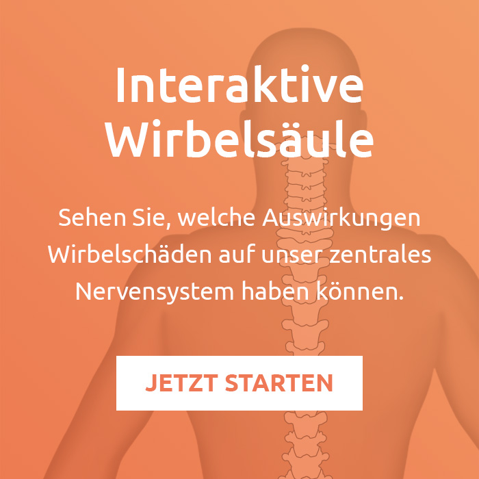 Button zur interaktiven Wirbelsäule 