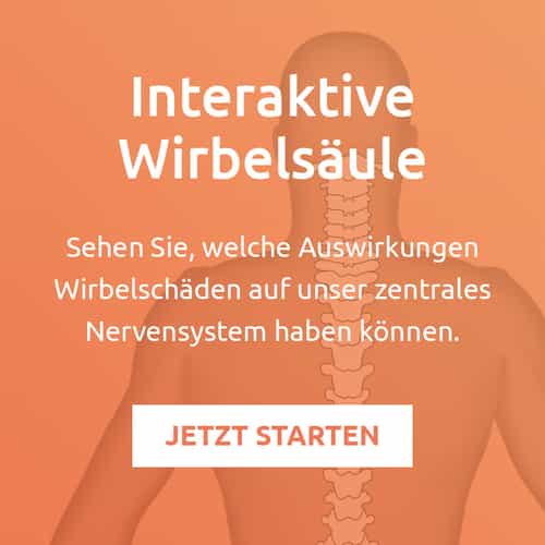Button zur interaktiven Wirbelsäule  Button zur interaktiven Wirbelsäule